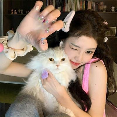 红白黑黄第七季